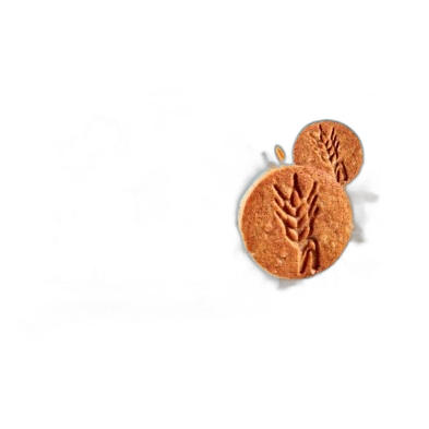 ლაზარონი-ორცხობილა მთელმარცვლიანი შაქრის გარეშე 300გ